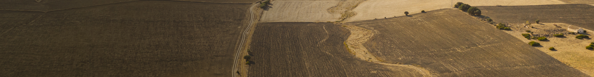 imagen aérea de campo con tonos sepia